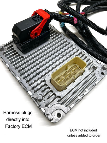 2015-2023 Car R3 QuickRun Harness (HQR-1005R3) – Sublimeparts